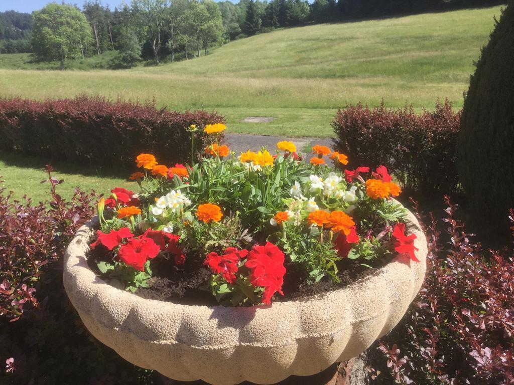 לה שמבון-סור-ליניון Logis Hotel Le Relais Du Bois Vialotte מראה חיצוני תמונה